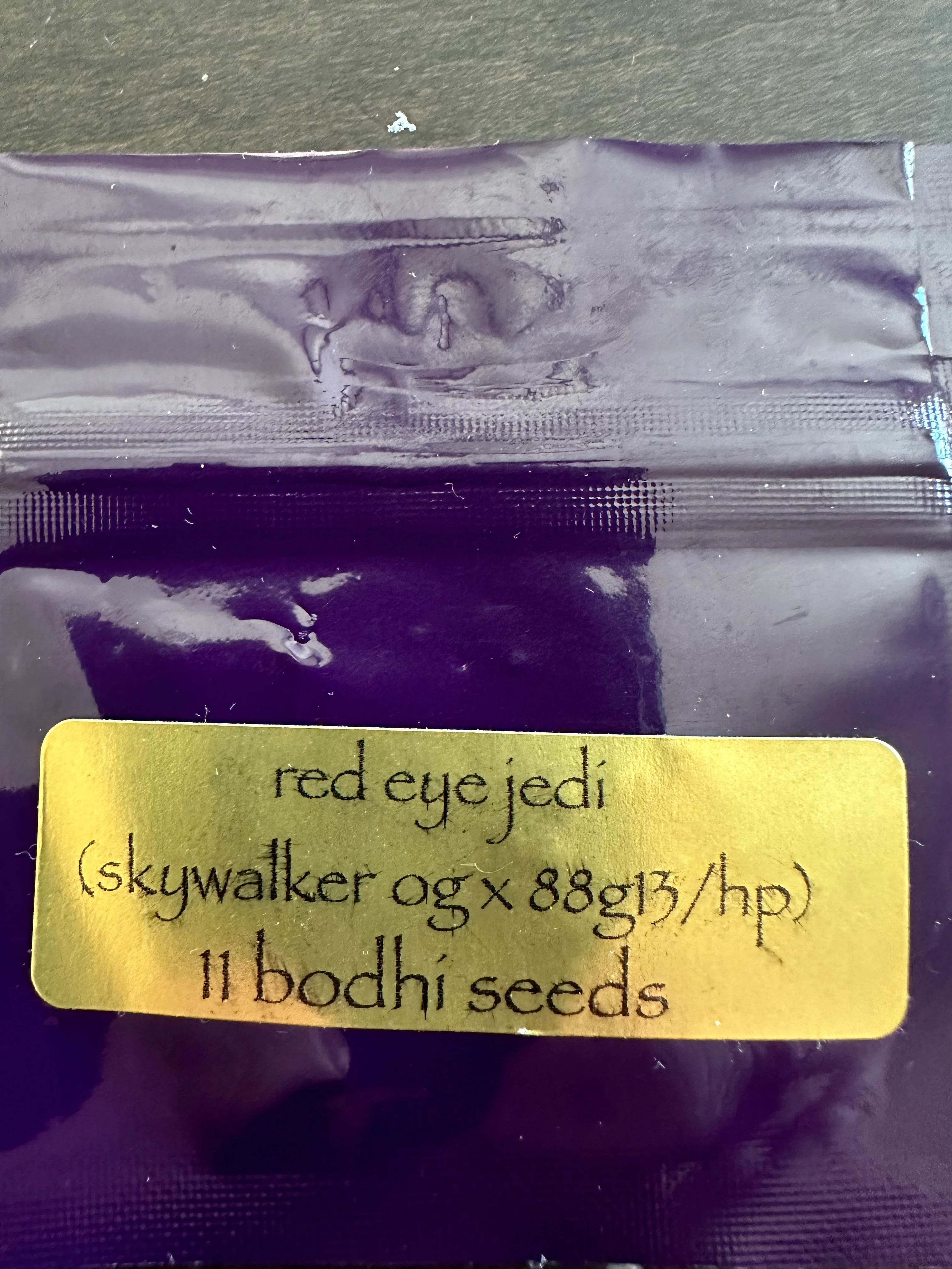 Bodhi - Red Eye Jedi