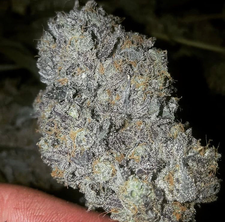 Chem Lab - Wicked Sour - Image 2