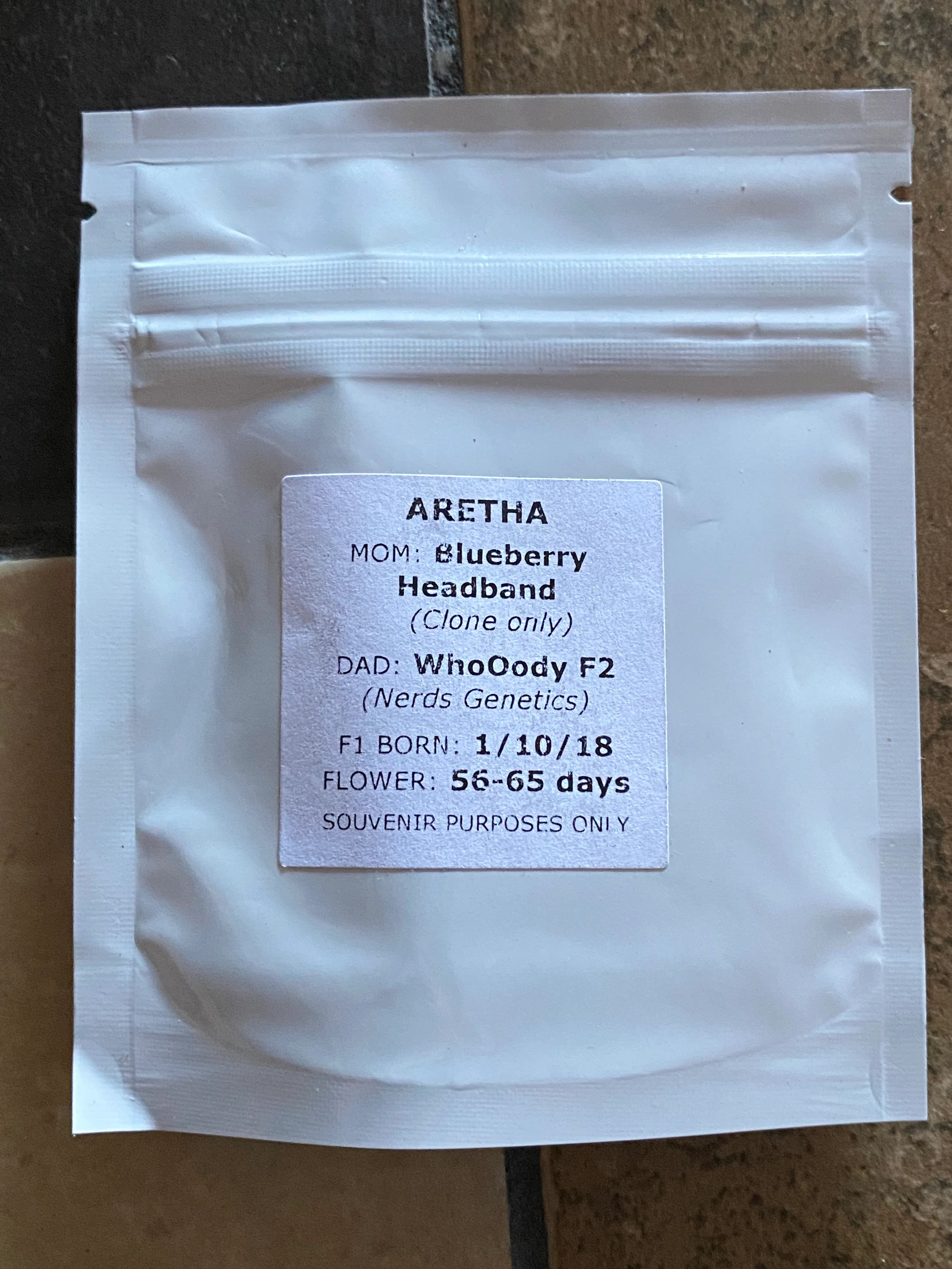 Nerds Genetics - Aretha