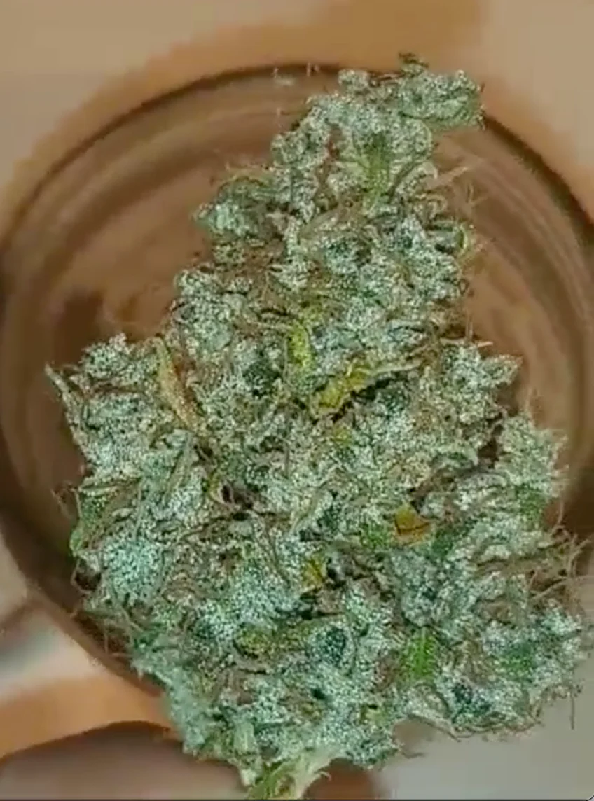 People Under The Stairs - Dubb/Ghost x TCPK (F) - Image 3