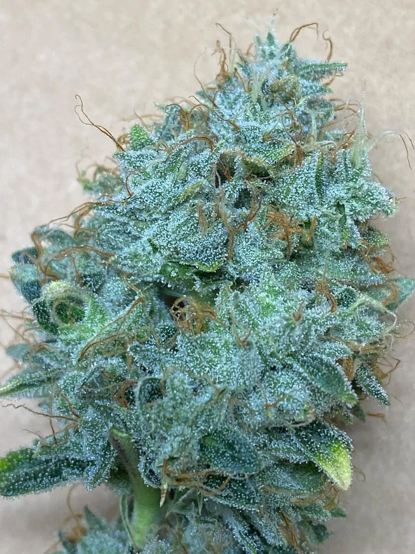 People Under The Stairs - I-95 x Hamantaschen Cookies/Sherbanger - Image 3
