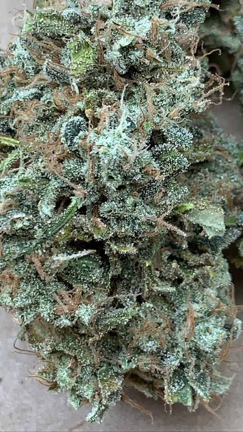 People Under The Stairs - Sour Saunders/Sour Diesel bx 2 x Dubble Sour Dog - Image 2