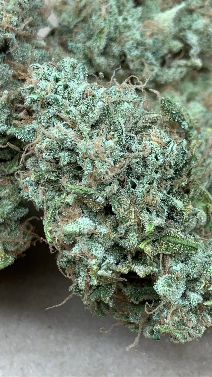 People Under The Stairs - Sour Saunders/Sour Diesel bx 2 x Dubble Sour Dog - Image 3