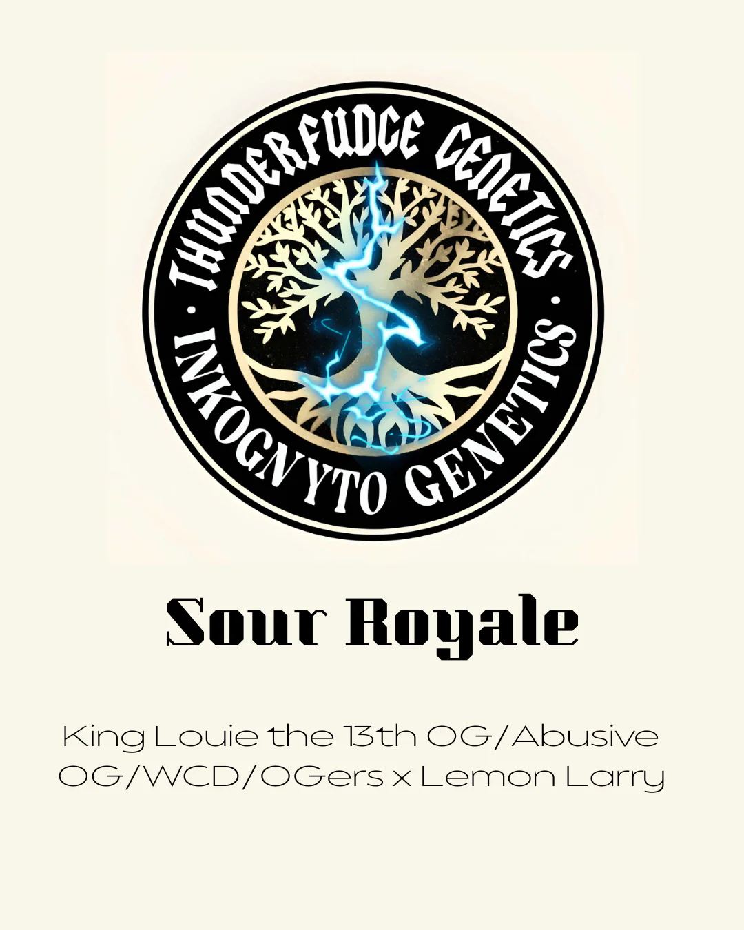 Thunderfudge x Inkognyto - Sour Royale