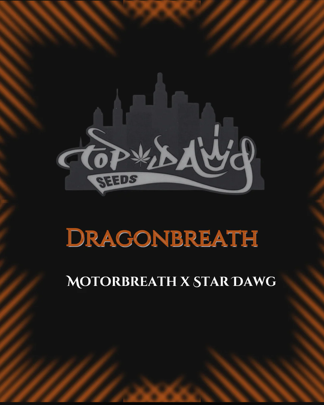 Top Dawg: Dragonbreath
