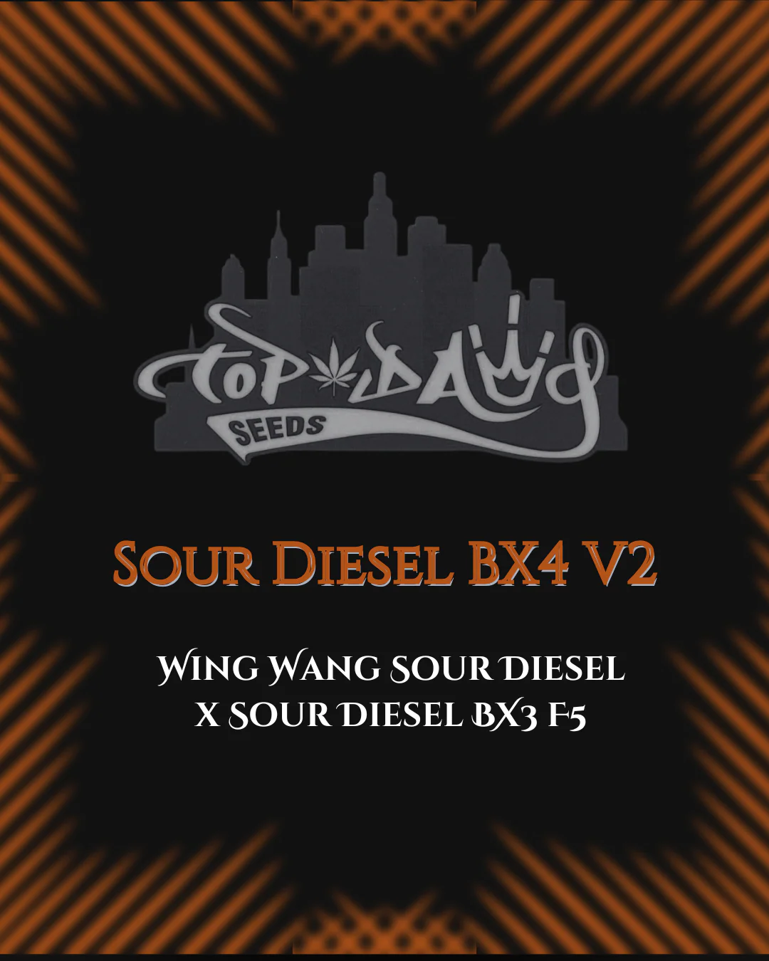 Top Dawg - Sour Diesel BX4 V2