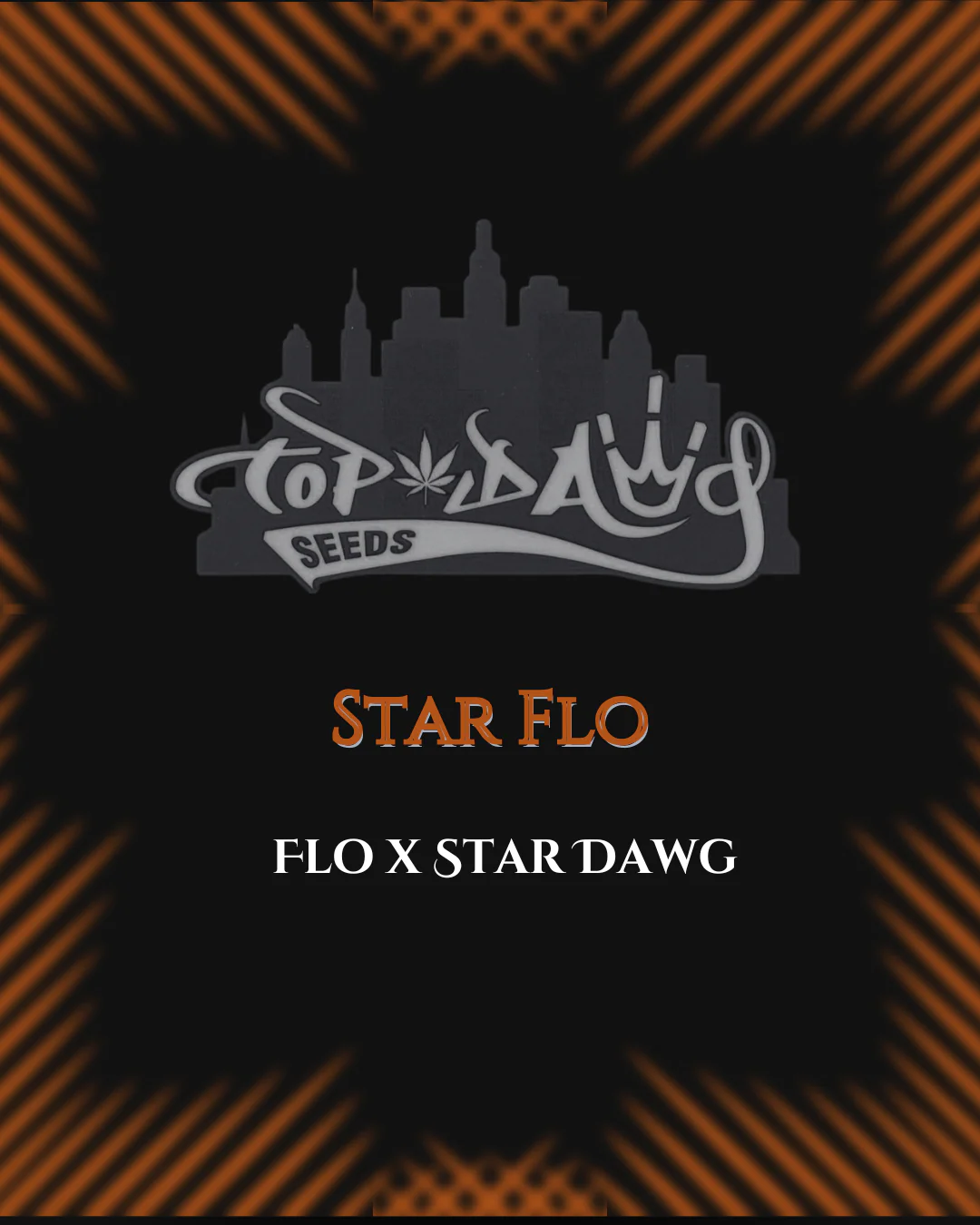 Top Dawg Seeds